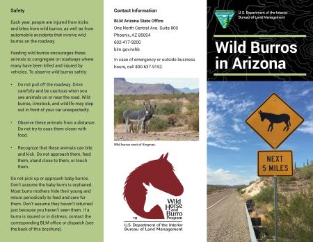A brochure with information about wild burros in Arizona.