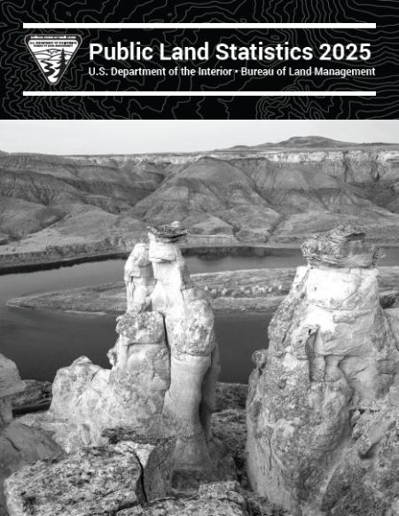BLM Public Land Statistics 2025 cover thumbnail