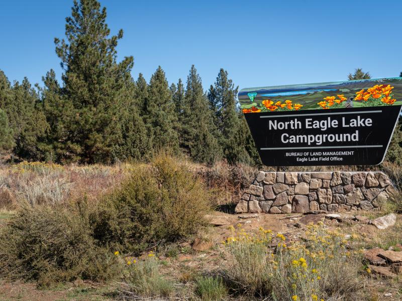 trapezoid sign in the shrubs of a forest. sign says North Eagle Lake Campground.