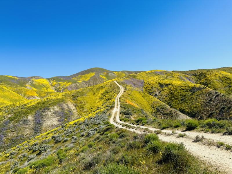two track dirt path leading into the rolling colorful hills with a blue sky.