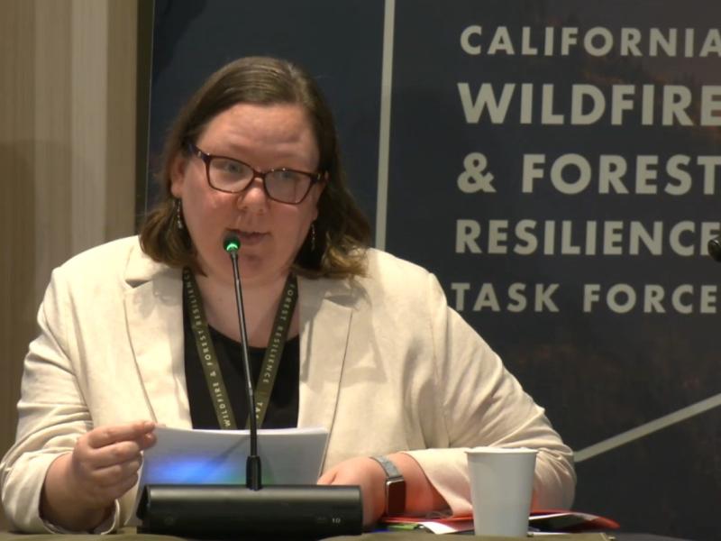 Acting Associate State Director Elizabeth Meyer-Shields. Photo by BLM.