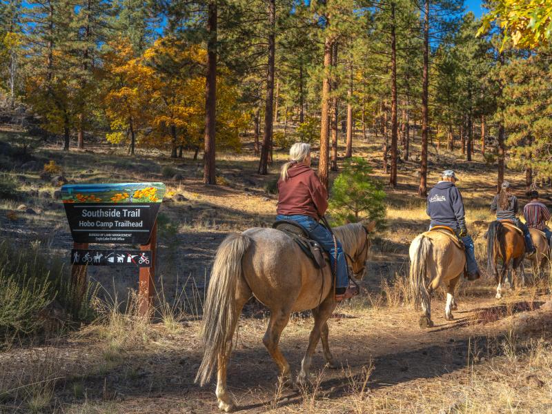 riders and horses pass a blm sign on a hose trail in the fall colors.