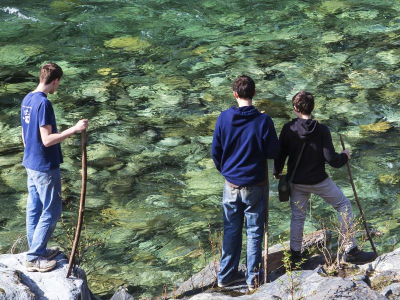 three kids look into the clear water from the bank.