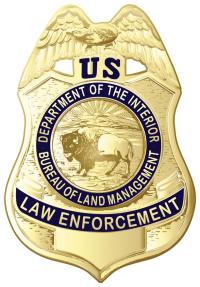 Badge - Law Enforcement (Color)