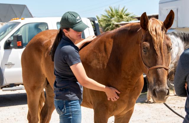 Meghan Marner pets her new horse Banjo.
