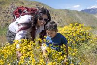 A woman and a child looking at yellow wildflowers